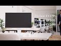 Eizo flexscan premium monitors