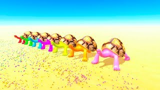 COLOR TURTLES Eat balls and learn colors for baby 3D animation