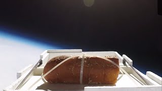 garlic bread goes to space