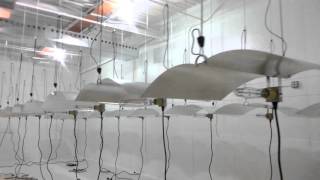 How to build a indoor commercial grow room warehouse 50K Monster Grows Phase 2 R & R Grow Rooms.