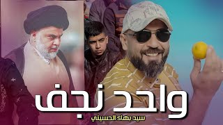 سيدبهاء الحسيني - واحد نجف | One Najaf Seyyed Bahaa Alhussaine 2022