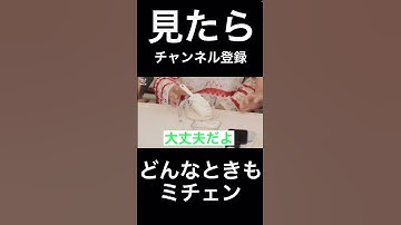 【TWICE】ミチェンはいつどんな時でも...#twice #日本語字幕 #once #トゥワイス #mina#chaeyoung #ミナ#チェヨン#ミチェン