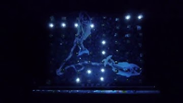 physical computing final