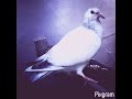 Virgo
