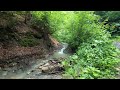 Carpathians, a walk in the mountains along the river(Карпати прогулка в горах уздовж річки)