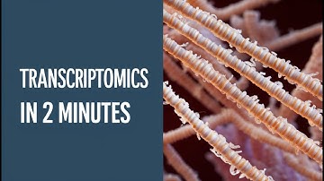 Transcriptomics in 2 Minutes
