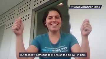 What Ariana Hirsh learned about her colleagues from daily Zoom meetings