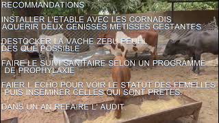 AUDIT DE TRANSFORMATION DE LA FERME AC TIENFALA EN FERME INTENSIVE, MALI.