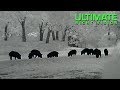 Night Vision Hunting | 17 Hogs Down in 5 Hours