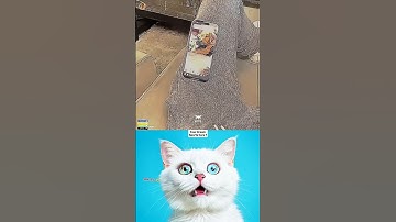 Reels Hand Scroll Problem Trick Aura 🤣😆 #viralmemes #funny #cat #viral