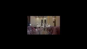 سورة الذاريات القارئ محمد الحيدان