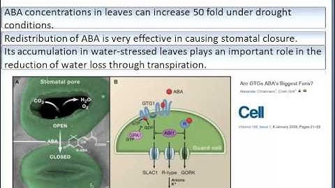 Lecture 13: Plant Signals Part 3