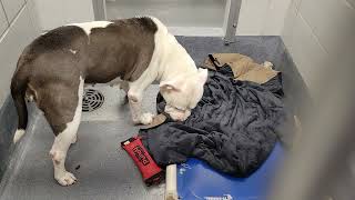 acs A639360 News