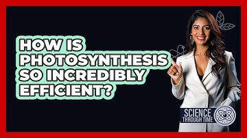 How Is Photosynthesis So Incredibly Efficient? - Science Through Time