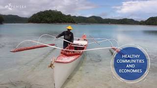 Partnerships in Environmental Management for the Seas of East Asia (PEMSEA)