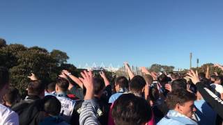 Sydney fc the cove grand final march 2017