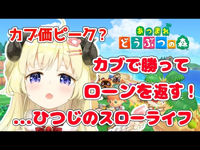 【あつまれどうぶつの森】カブ価ピーク？！教えてカブ先生！！！【角巻わため/ホロライブ４期生】のサムネイル