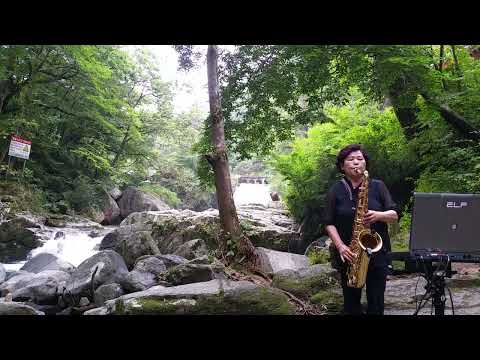 할미꽃 사연(송봉수) 구암 Saxophone 박희순 연주