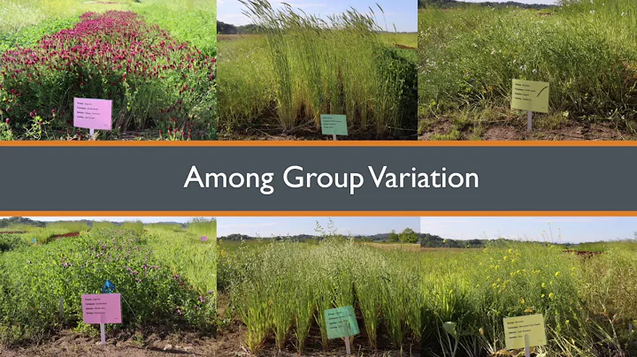 Virginia Sykes:  Cover Crop Variety Trial