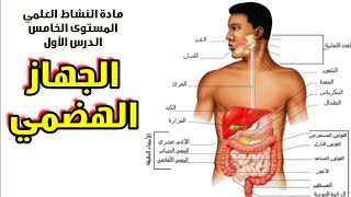 مادة النشاط العلمي الدرس الأول: الجهاز الهضمي للمستوى الخامس ابتدائي