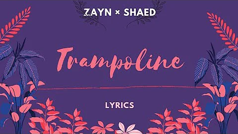 Zayn Malik × SHAED - Trampoline (Lyrics)