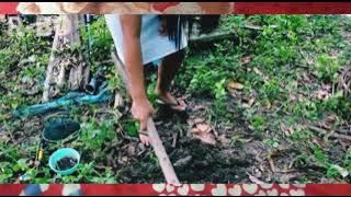 Mancing cantik mancing ambyar part #41