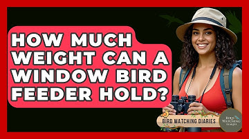 How Much Weight Can A Window Bird Feeder Hold? - Bird Watching Diaries