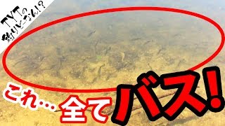 【バス釣り】バスが大量発生！ルアーを投げてみると…