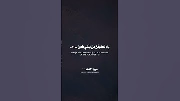 وله ماسكن في الليل والنهار وهو السميع العليم من سورة الأنعام / القارئ ياسر الزيلعي..