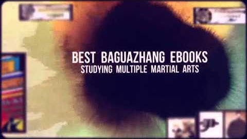Baguazhang