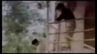 Tatal Rumah Raje - SiPandir 1992