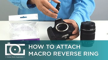 MACRO PHOTOGRAPHY | Reversal Ring Adapter for CANON Cameras | How To Take Macro Photos TUTORIAL