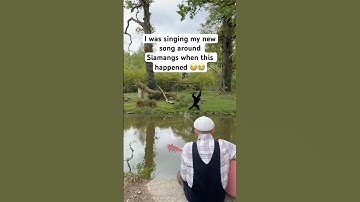 When the fish comes at the end 😭 "Flou - Plumes" is out on all music platforms