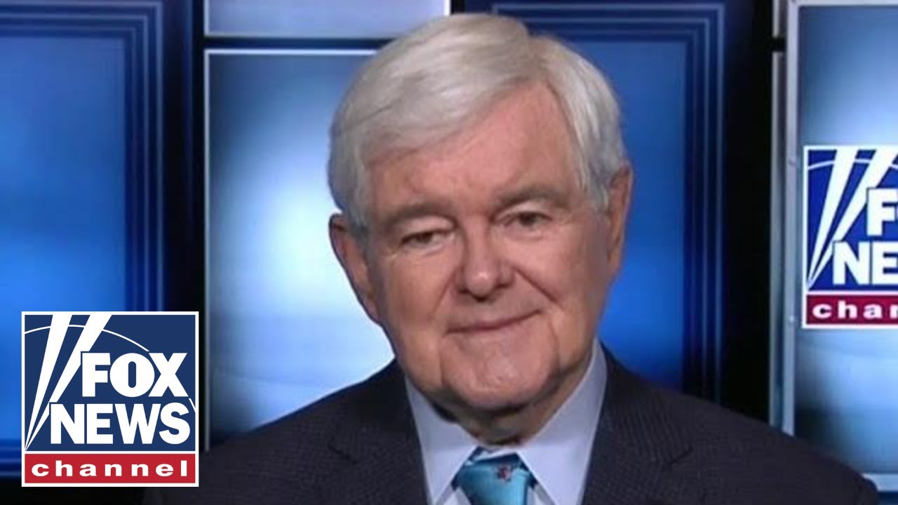 Newt Gingrich: Pelosi's actions were childish and beneath the house