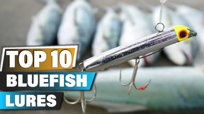 FISH Go NUTS Over This LURE(Surf Fishing for Giant Bluefish) 