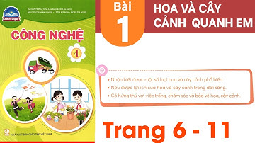 Công nghệ lớp 4 chân trời sáng tạo bài 1 - Hoa và cây cảnh quanh em