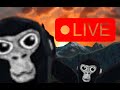 Gorilla Tag Minigames Live With Viewers LIVE JOIN NOW