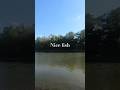 catching bass on a worm in the retention pond
