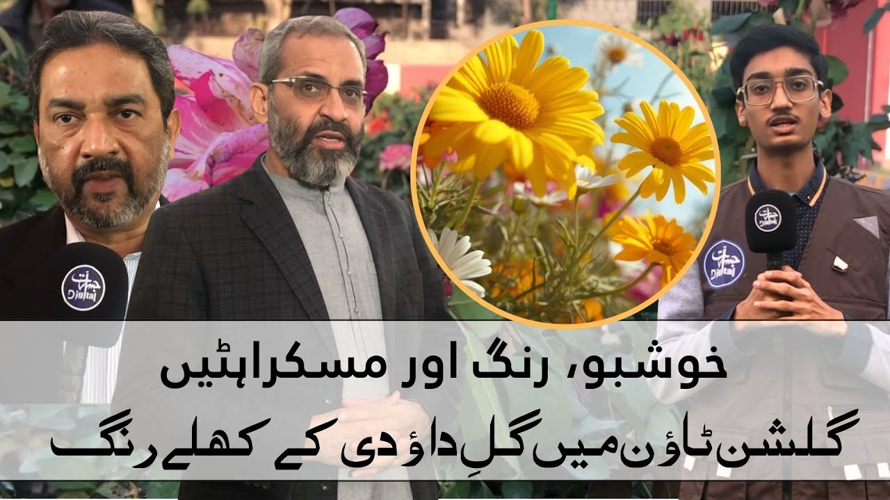 Gul-e-Daudi Exhibition in Gulshan Town | خوشبو، رنگ و مسکراہٹیں گلشن ٹاؤن میں گلِ داؤدی کے کھلے رنگ