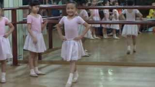 CSTD Exam Open House 2013 - Primary Syllabus (part 5)