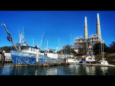 Video: Elkhorn Slough Nature Tour, Monterey Bay