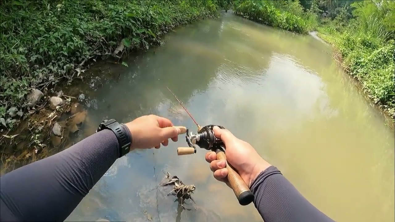 Stream Fishing In Thailand : EP 6 เสียงรอกดังลั้นของเจ้า Daiwa Silver Creek Air TW Stream Custom