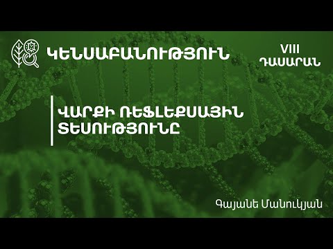 Video: Ինչպես կատարել վերլուծիչ