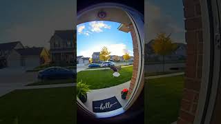 Dog Saves Baby from Eagle Attack | Caught on Doorbell Camera (Looks 100% Real!)#short