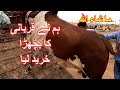 Our Qurbani Bull Purchased From Sohrab Goth Maweshi Mandi