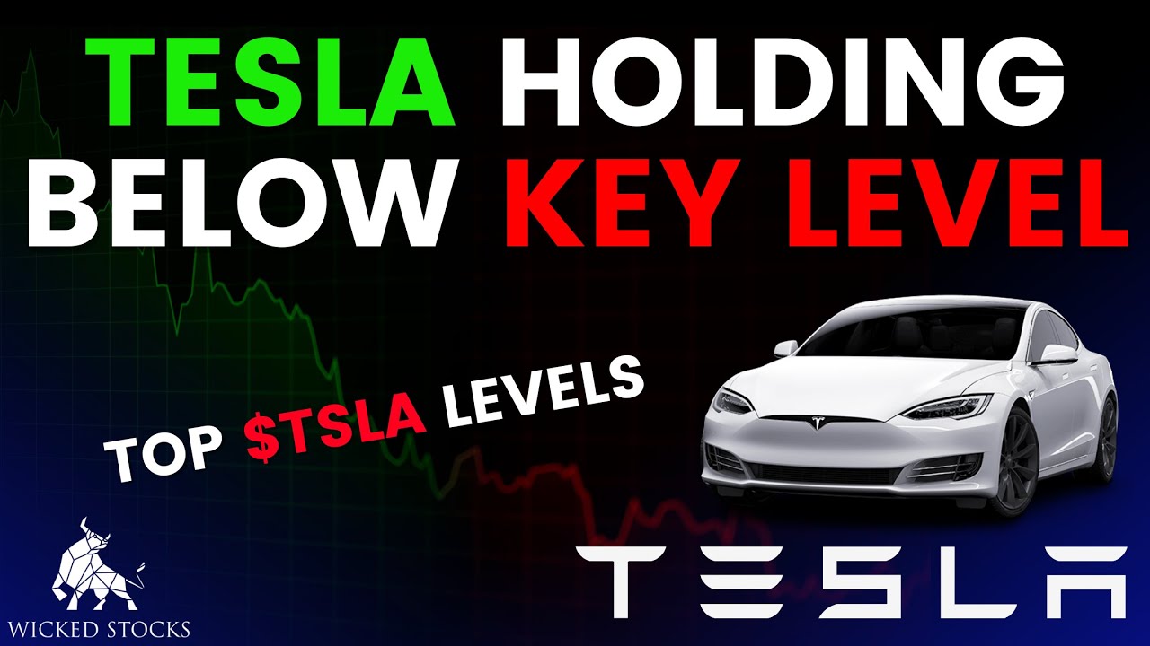 Tesla Stock Price Analysis | Top Levels To Watch for February 25th ...