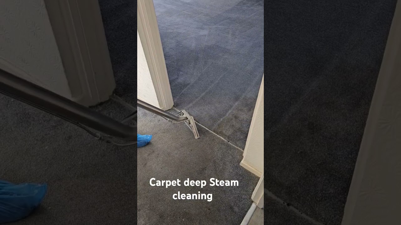 Carpet Steam cleaning by Vip Carpet Cleaning London