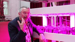 Koppert Cress - Rob Baan - Aanbeveling Growwizzkid