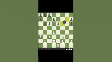 Brilliant Checkmate Under 30 Seconds! | Chess Game Highlight ♟🔥@Learnchessindia