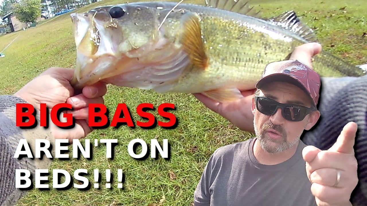 You’re WRONG About Where Those BIG BASS Are In The Spawn!!!!